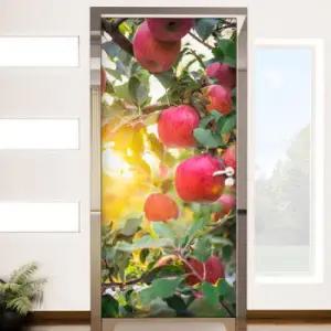 아트박스 꾸밈 ij869-사과나무_현관문시트지