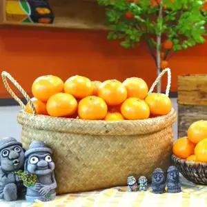 제주 못난이 천혜향 10kg 사이즈 랜덤 가정용 제주연가