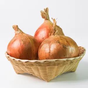 직수입 신선 자이언트 양파 15kg 업소 식자재용 (box)