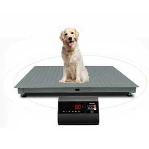 대형견 체중계 전자 대형 반려동물 몸무게 반려견