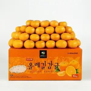 대용량 서귀포 노지 하우스 감귤 5KG 9KG 시즌행사