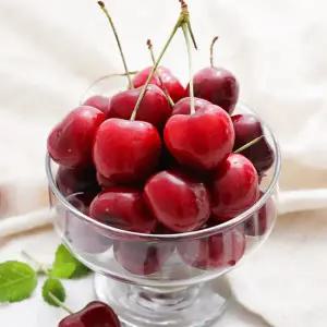 [롯데백화점]자연맛남 새콤달콤 생 체리 1kg (10-10.5row)