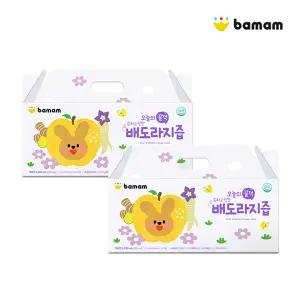 [바맘](정가 66,500원) 바맘 오늘의 꿀꺽 순하고 진한 배도라지즙 110ml 30포 2box