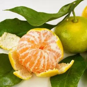 새콤달콤 제주 타이백 감귤 9kg M-L