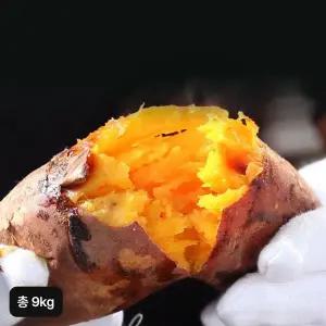 [NS홈쇼핑]25년 햇 특등급 해남 꿀고구마 4.5kg+4.5kg (총 9kg)[35609826]