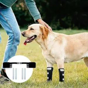 [골드스마일]강아지 앞다리 보호대 애견 슬개골 지지대 보호 용품