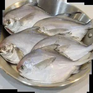 냉동생선 손질 병어 10마리