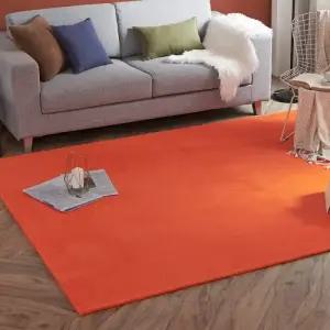 까드리아  올데이 컬러 러그 (200x270cm)  극세사 단모 워셔블 거실 카페트