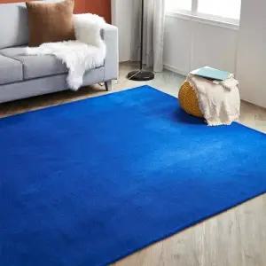 까드리아  올데이 컬러 러그 (200x300cm)  극세사 단모 워셔블 거실 카페트