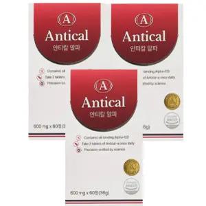 안티칼 알파 60정 3박스 안티올라민 파세올라민