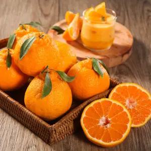 제주도 한라봉선물세트 과일선물세트