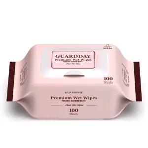 가드데이 프리미엄 정제수 물티슈 100x10개 캡형