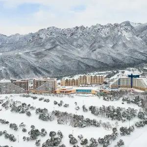 소노캄 델피노 소노호텔앤리조트 조식 오션플레이 패키지 소노문 델피노 (강원 설악) 룸온리