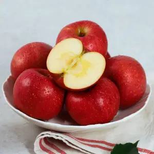 [인정식탁][바로배송][경상북도][오늘아침사과] 오늘아침 꿀맛사과 5kg 25과/ 13브릭스 이상