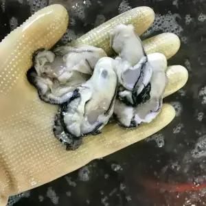 국내산 여수 통영 생굴 1kg 별미 굴전 굴밥 굴국 순살 깐굴 알굴 손질 세척 겨울 보양식 제철 오이스터 간편 젓 국 회