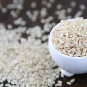 [해남미소] 조양영농조합 현미 20kg