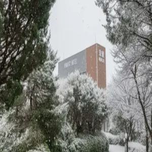 [경기 호텔] 데이지 호텔 양평 (양평)