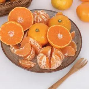 제주도 서귀포 조생 감귤 중대과 4.5kg 실중량 당도보장 프리미엄 효돈감귤