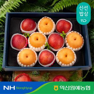 [익산원예농협] 과일 혼합 프리미엄 명절 선물 세트 6kg 특 사과5과 배5과