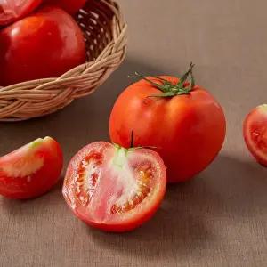 완숙 토마토 1kg 팩