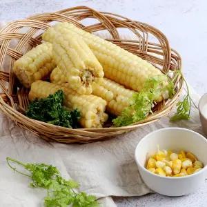 국내산 쫀득쫀득한 미니 진공 찰옥수수 10팩 (팩당 3-4개입)