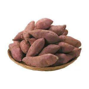 야채이야기 맛있는 고구마 1kg 꿀고구마 호박고구마