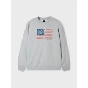 [후아유](김해점)American Flag Sweatshirt WHMWF4T01U