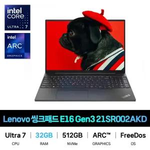 IT_레노버 씽크패드 E16 Gen3 IAL 21SR002AKD RAM 32GB 재고보유