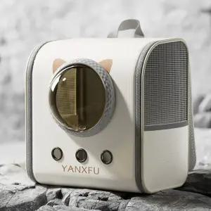 강아지 고양이 이동장 산책가방 투명 백팩 이동가방