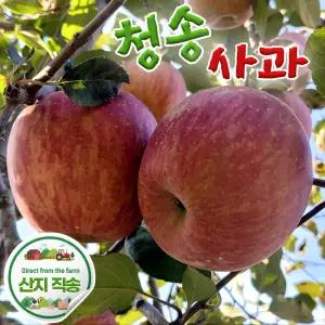 사과 청송 경북사과 꿀당도 중과 특품3kg(12-14과내외) 13brix이상