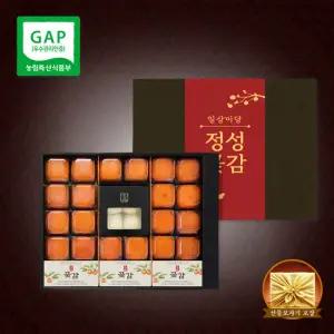 일상미당 콩쑥개떡 품은 반건시 곶감 혼합 선물세트 대과 20개입/콩쑥개떡 4입 증정