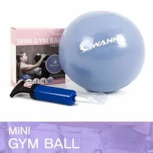 테스 라벤더 자세 간편한운동용품 홈짐 24cm 짐볼 운동볼