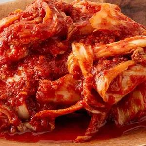 당일제조 국내산 재료로 만든 전라도 겉절이 10kg