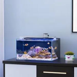 해수 어항 세트 수족관 해파리 네모난 대형 물고기 가재