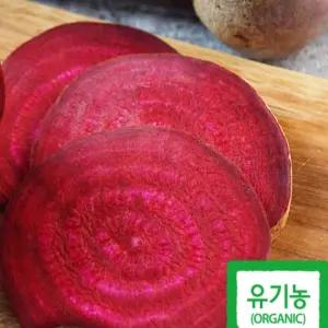 [로지프로] 해남 유기농 햇 레드비트 5kg
