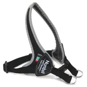 펫패션 하네스 목줄 강아지 산책 외출 리드줄