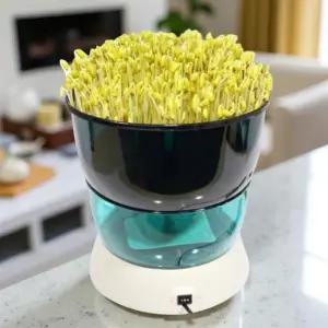 콩나물 기르는법 집에서 신선한 콩나물 키우는 재배 키트 재배기