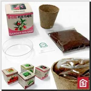 [알티피아]WL 봉선화 채소 미니 재배 키우기세트 새싹씨앗 꽃씨앗