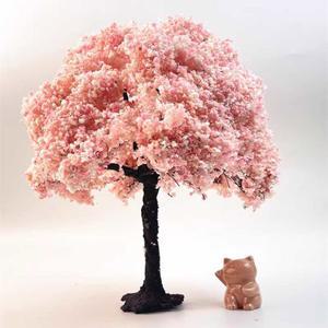 벚꽃 나무미니어처 디오라마 벚나무 식물 피규어 B형 장식 카페 미니 인테리어 20cm