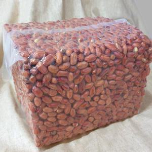 볶음땅콩 3.75kg (1관) 2025년 햇 알땅콩 대용량 진공포장 쪽빛누리