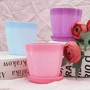 인테리어 꽃 화분 실내 식물 장식용 키우기