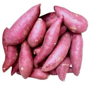 꿀 고구마(베니하루카) 못난이 3kg