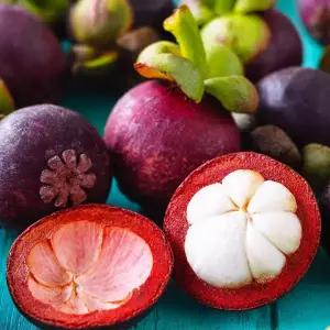 [거북농산]태국 생망고스틴 5kg 5망-10망