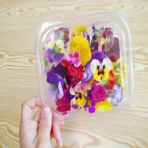 식용꽃 100송이 혼합 (대용량)