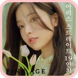 [핑크에이지]아리스스트레이트19인치/수제통가발/가발