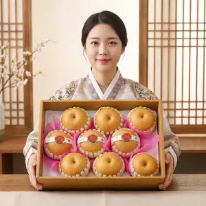 자연예서 고당도 신고배 선물세트 7.5kg(8-10과)(명품)