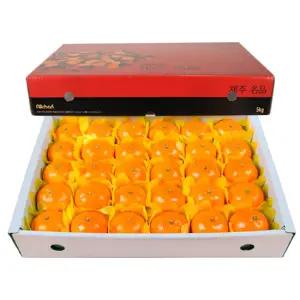 제주 천혜향(중) 5kg(28~30과)