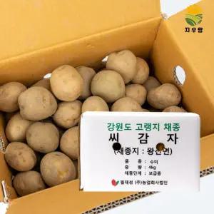 강원도 정품 씨감자 보급종 수미 4kg 주말농장 감자씨