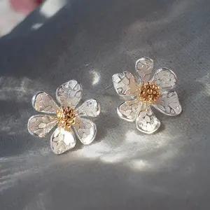 [더블유비엘][연예인착용]   아르떼 귀걸이/귀찌   (윙블링)