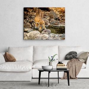 풍수 호랑이 그림 사진 인테리어 액자 직사각 8종 6호